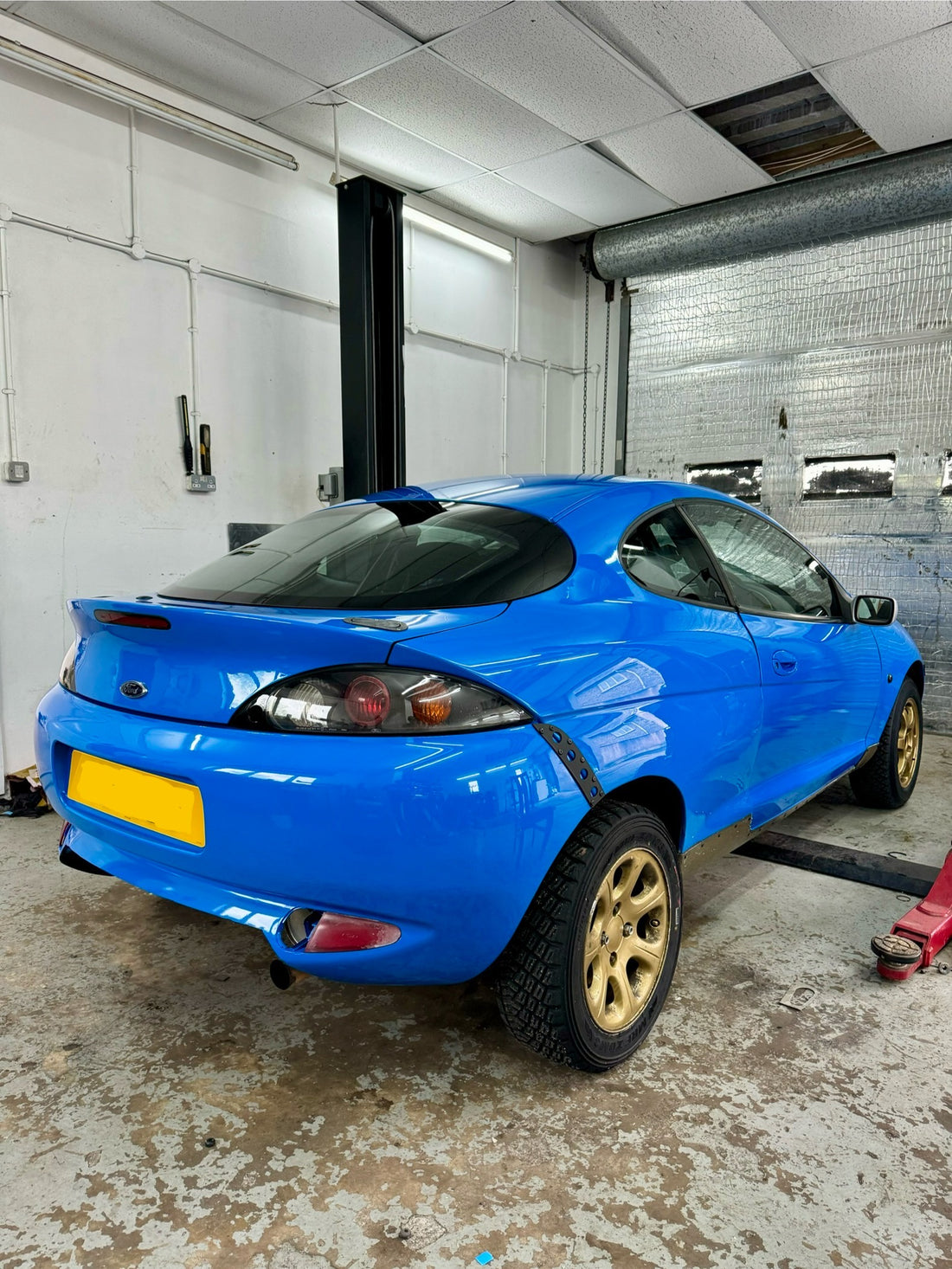 Puma Rally - Paint Correction