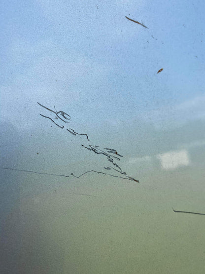 Scratch Removal / Chip Repair