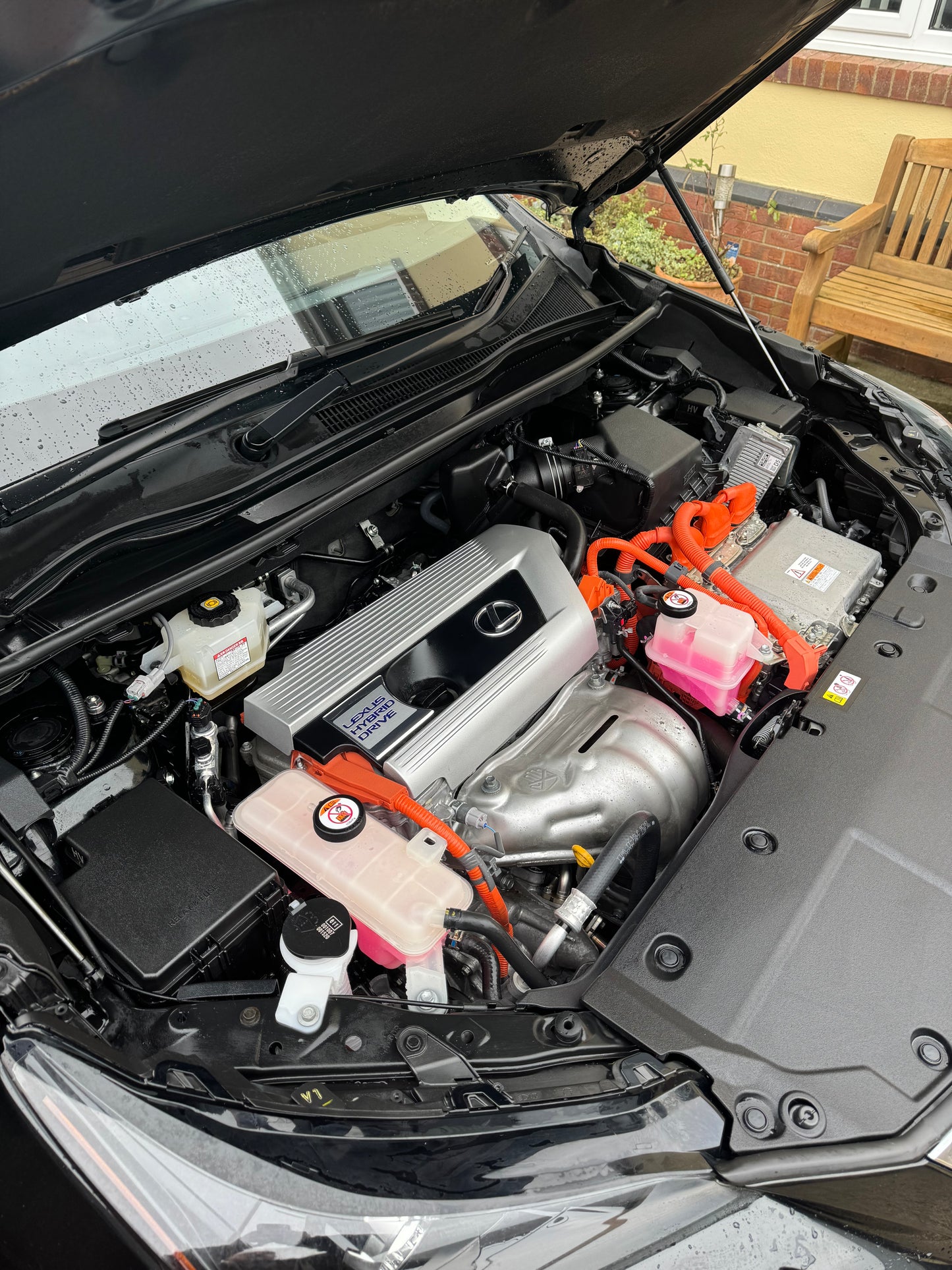 Engine Bay Detail