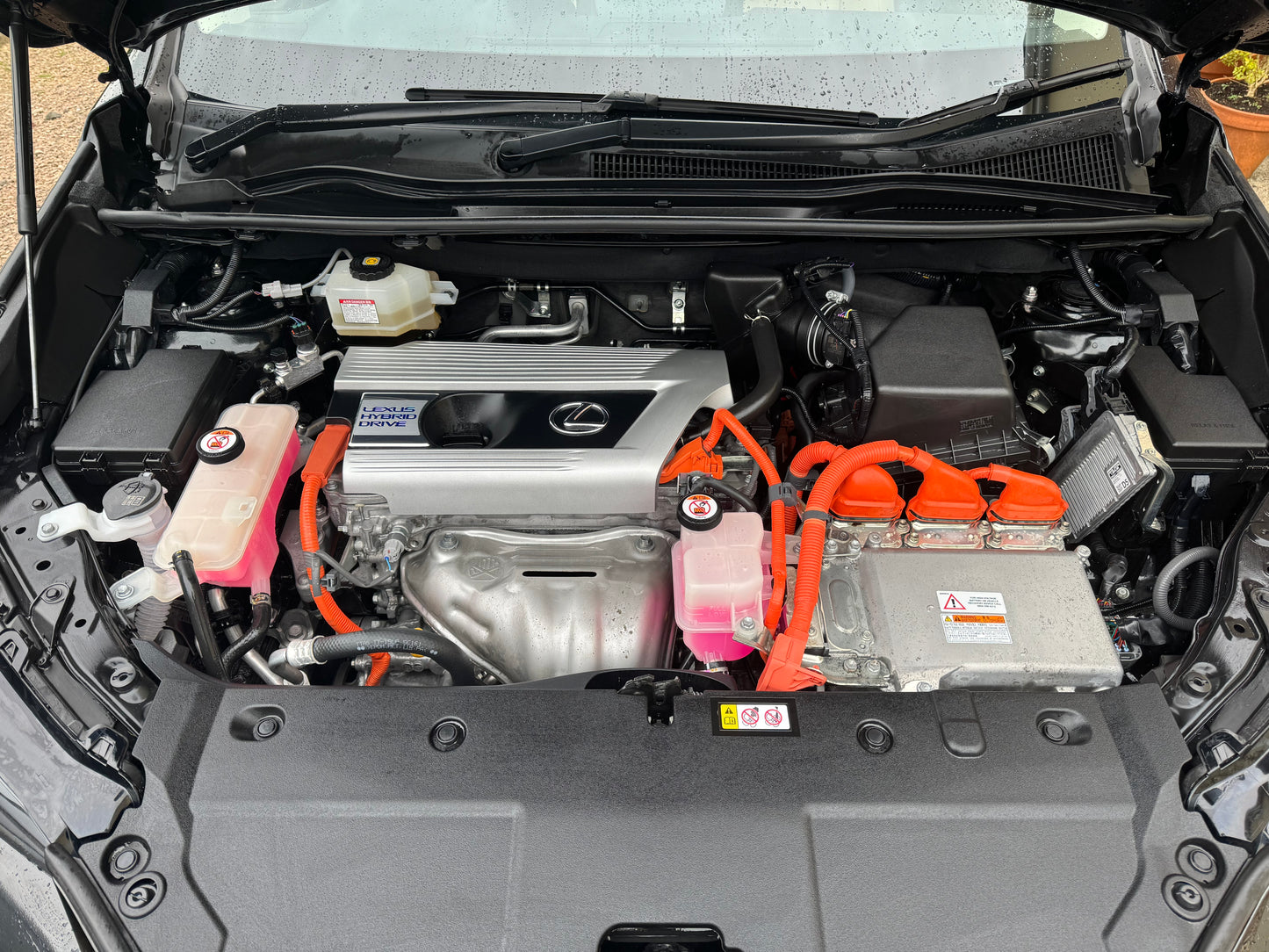 Engine Bay Detail